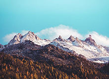 哈登签约火箭合同曝光 33岁大胡子彻底无缘顶薪